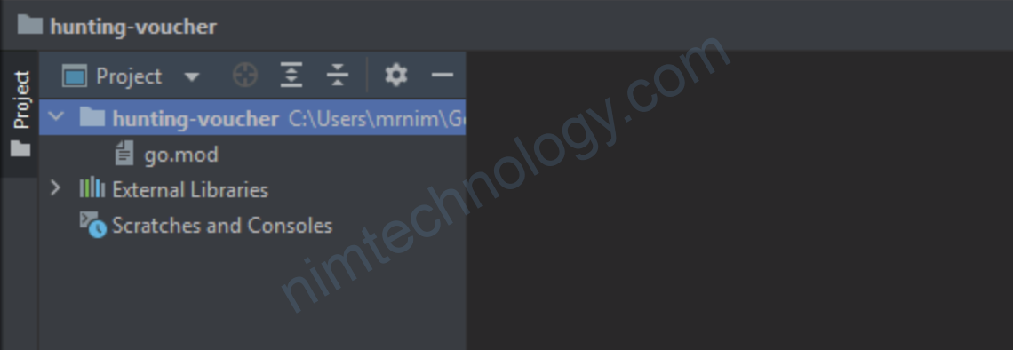 [Golang] Chuẩn bị 1 project golang.