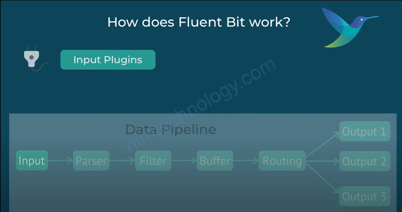 [Fluent Bit / Datadog] How does Fluent bit collect logs and send them to multiple backend.