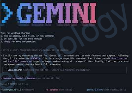 [Gemini] Install gemini on ubuntu